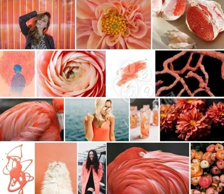 2019年流行的&ldquo;珊瑚橘&rdquo;主打色調(diào)