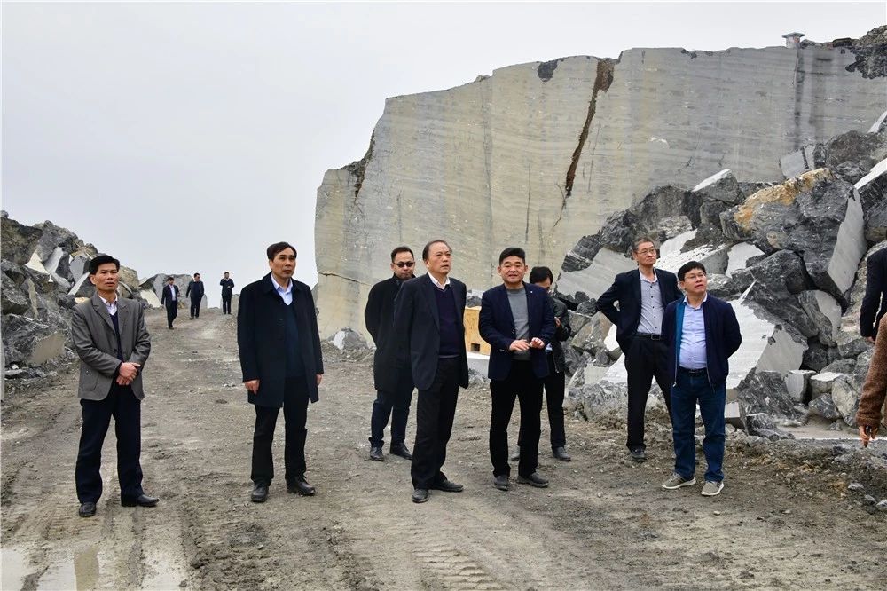 中國煤炭地質總局領導到廣西忻城（銀白龍大理石產地）考察石材產業