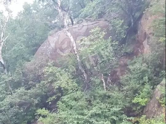 河北承德（新品黑石）黑晶剛石材礦開(kāi)發(fā)招商推介 