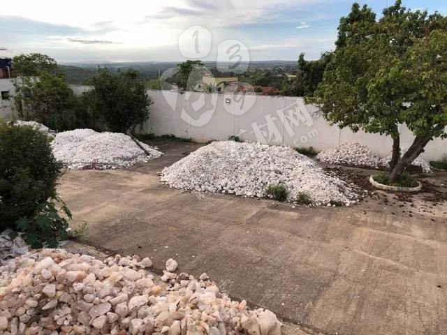 巴西聯邦警察開展行動打擊非法開采礦產 5人被捕 5人在逃 其中3人為中國人