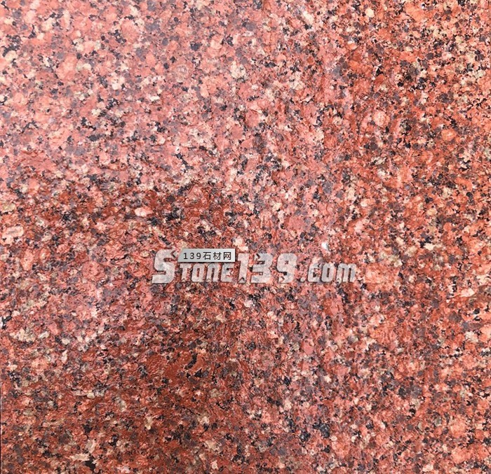 水頭市場(chǎng)“印度紅”遭瘋搶?zhuān)瑩尣坏揭矂e慌，還有國(guó)產(chǎn)印度紅！