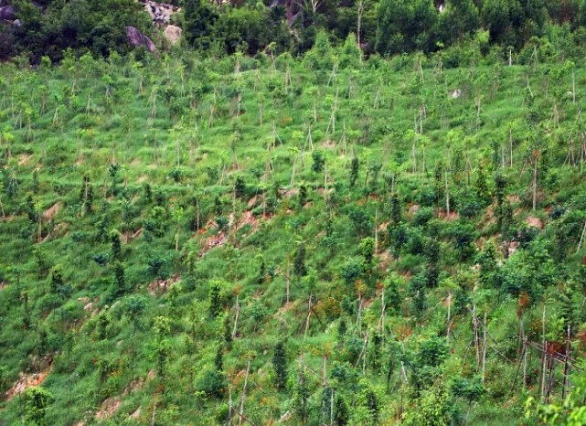 漳浦問題礦山生態(tài)圓滿修復(fù)，全縣石材企升級27家企業(yè)復(fù)電復(fù)產(chǎn)，獲中國環(huán)境報好評